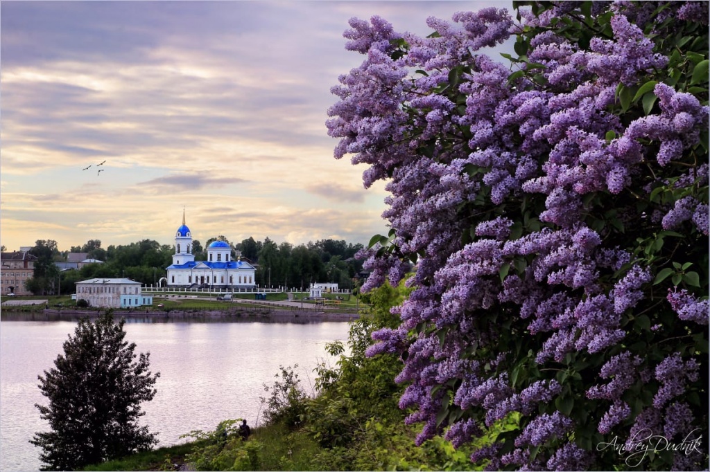 Весна в Добрянке.jpg